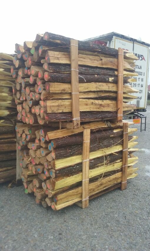 20180327_114210-FILEminimizer-e1555486134654-510x850