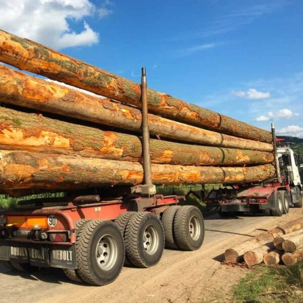 Camion de 50 stères Hêtre Chêne Charme en grume