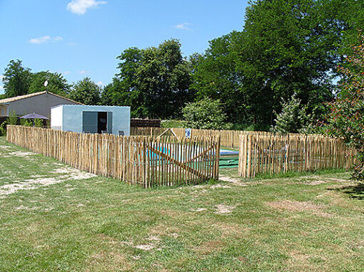 ganivelle-chataignier-510x382