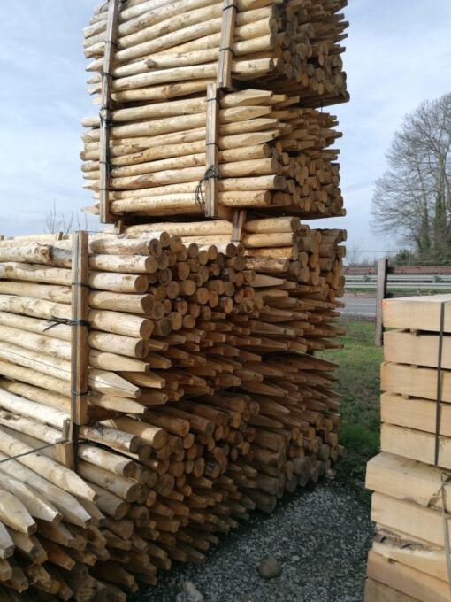 piquet-chat-8-10-2m--510x680